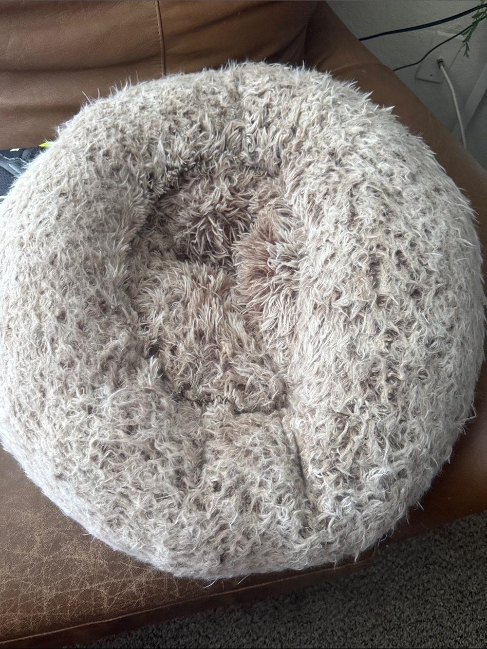 Plush Round Donut Pet Bed - Cream